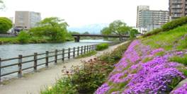 C:\Users\nagao\Documents\盛岡3.JPG